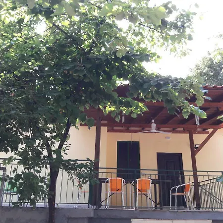 Leo Case de vacanță